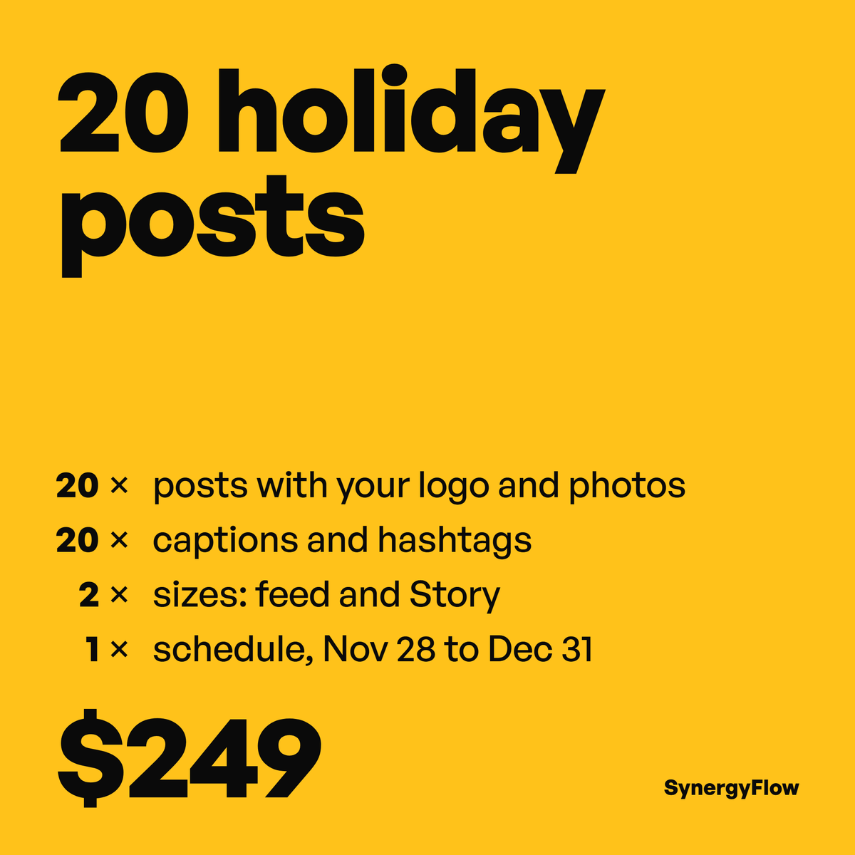 20 holiday posts, $249: posts with your logo and photos, captions, feed and Story sizes, scheduled Nov 28 to Dec 31