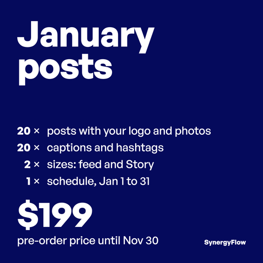 January posts, $199 pre-order price until Nov 30: 20 posts, 20 captions, feed and Story sizes, scheduled Jan 1 to 31